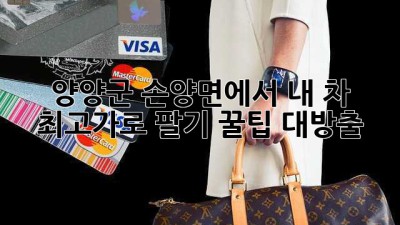 🚗 양양군 손양면에서 내 차 최고가로 팔기! 꿀팁 대방출 🍯