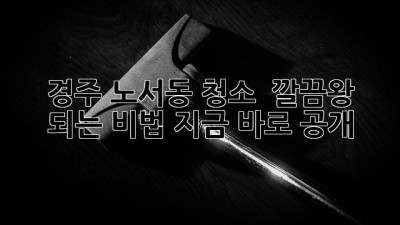 경주 노서동 청소 ✨ 깔끔왕 되는 비법, 지금 바로 공개! 🏡