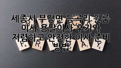 세종시 부강면 등곡리 원룸 이사, 용달이사 후기와 저렴하고 안전한 이사 준비 방법